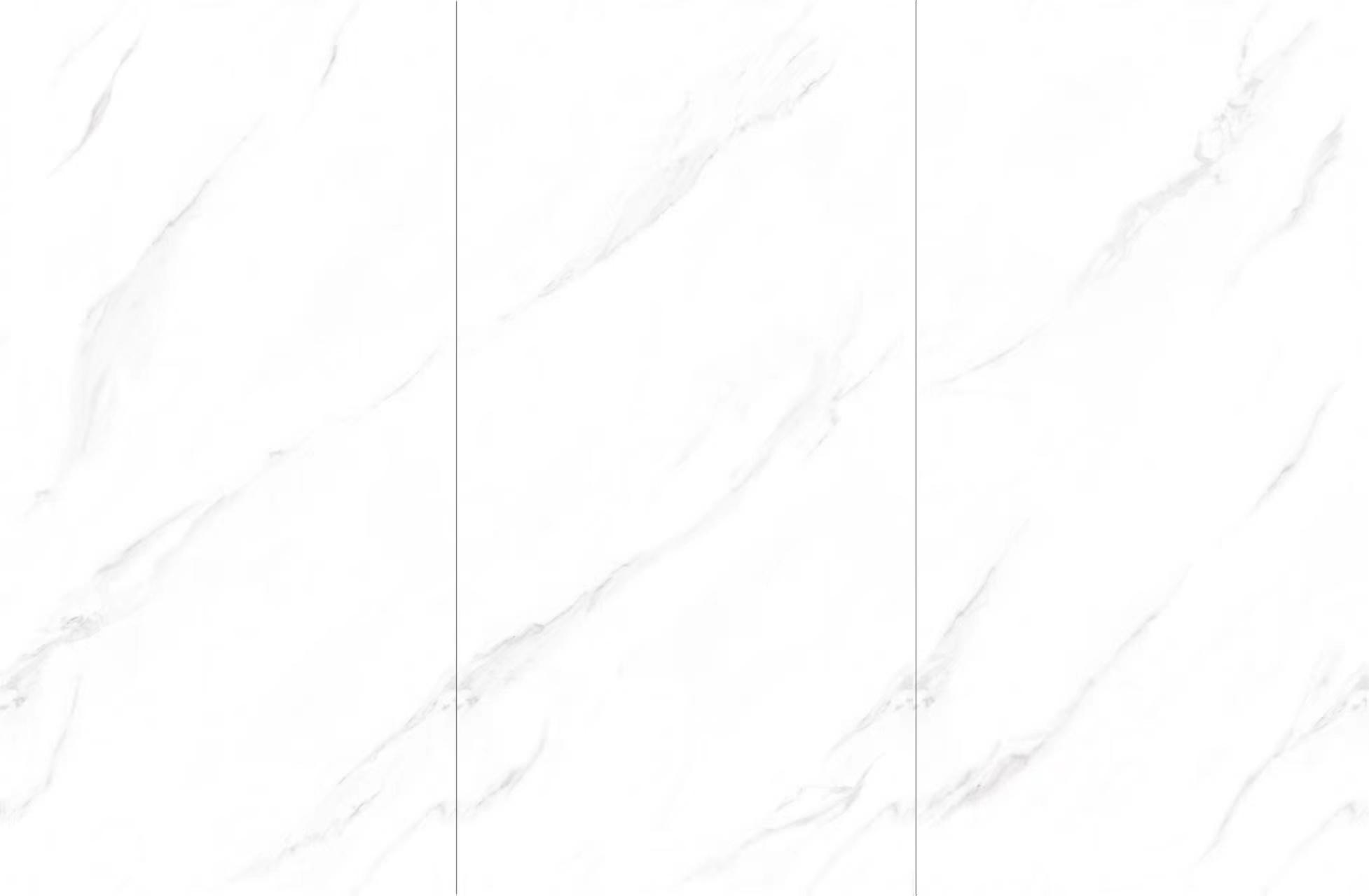 YM98706.jpg YM98706.jpg