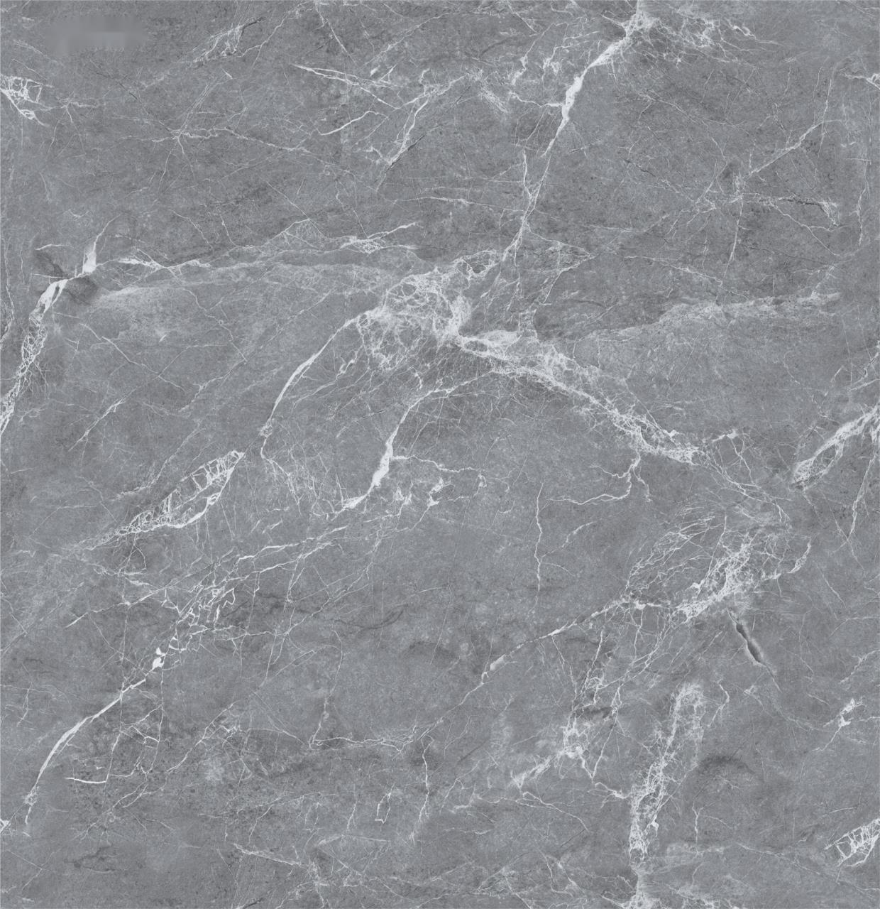 YM8005.jpg YM8005.jpg